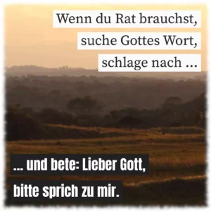 Wenn du Rat brauchst, suche Gottes Wort