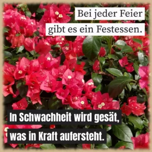 Bei jeder Feier gibt es ein Festessen