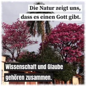 Die Natur zeigt uns, dass es einen Gott gibt