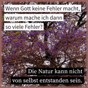 Wenn Gott keine Fehler macht, warum mache ich dann so viele Fehler