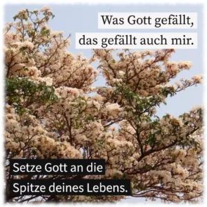 Was Gott gefällt, das gefällt auch mir