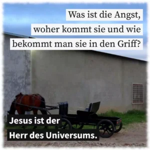 Was ist die Angst, woher kommt sie und wie bekommt man sie in den Griff