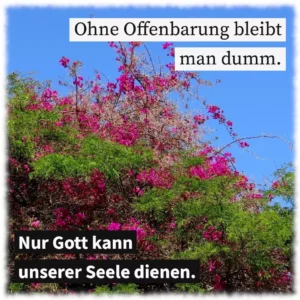 Ohne Offenbarung bleibt man dumm