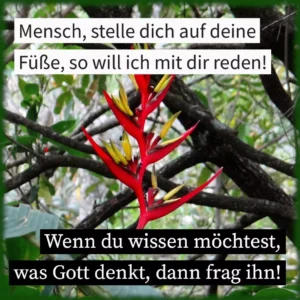 Mensch, stelle dich auf deine Füße, so will ich mit dir reden