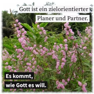 Gott ist ein zielorientierter Planer und Partner