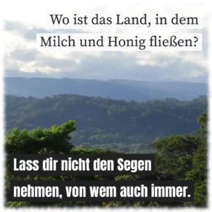 Wo ist das Land, in dem Milch und Honig fließen