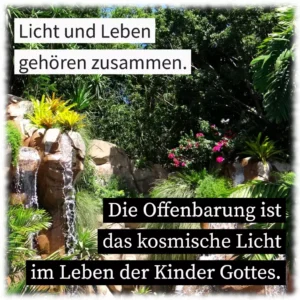 Licht und Leben gehören zusammen