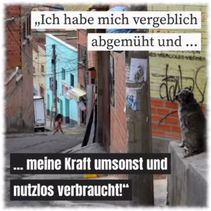 Ich habe mich vergeblich abgemüht und meine Kraft umsonst und nutzlos verbraucht