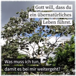 Gott will, dass du ein übernatürliches Leben führst