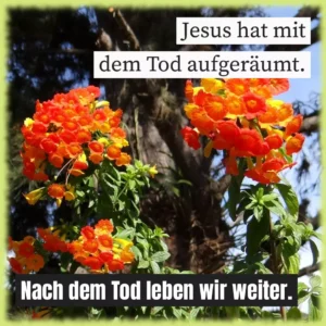 Jesus hat mit dem Tod aufgeräumt