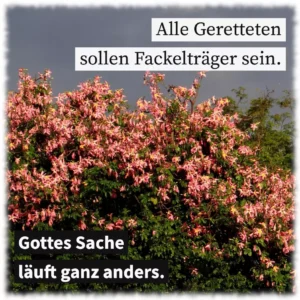 Alle Geretteten sollen Fackelträger sein