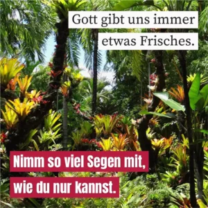 Gott gibt uns immer etwas Frisches