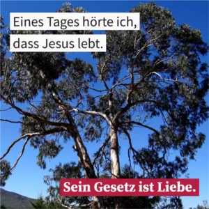 Eines Tages hörte ich, dass Jesus lebt