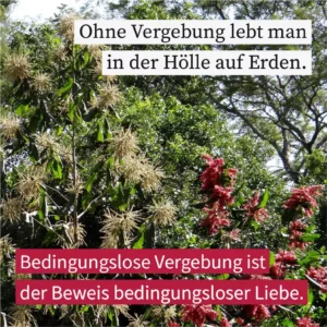 Ohne Vergebung lebt man in der Hölle auf Erden