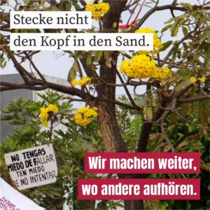 Stecke nicht den Kopf in den Sand