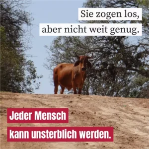 Sie zogen los, aber nicht weit genug
