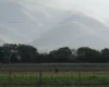 Nimm ein das gute Land