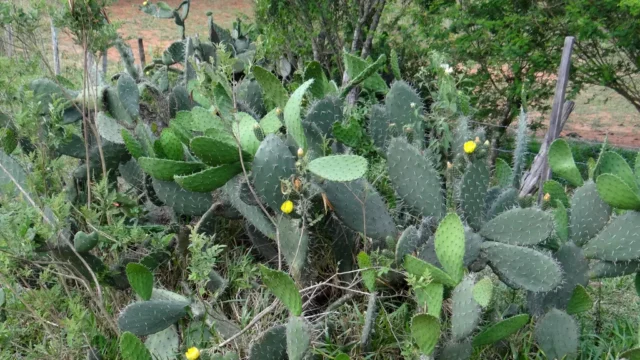 Überwinde deine Selbstgerechtigkeit