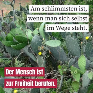 Am schlimmsten ist, wenn man sich selbst im Wege steht