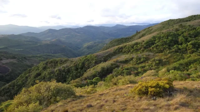 Gott hat dir alles vergeben