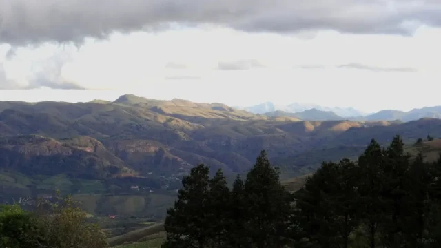 Das Leben ist unsterblich