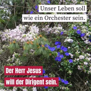 Unser Leben soll wie ein Orchester sein