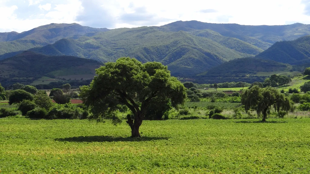 Ein Wunder ist passiert