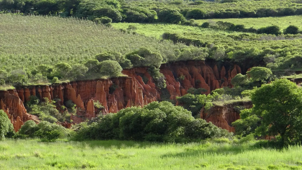 Die Kraft der Vergebung
