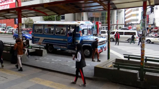 Ihr ist viel vergeben