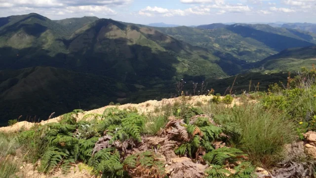 Schritte des Glaubens