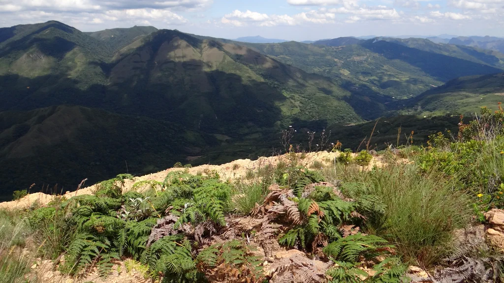 Schritte des Glaubens