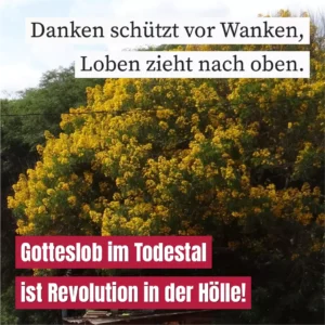 Danken schützt vor Wanken, Loben zieht nach oben