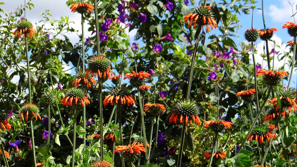 Die Regierung Gottes