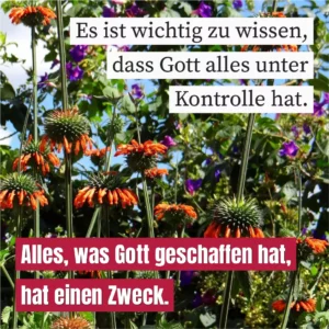 Es ist wichtig zu wissen, dass Gott alles unter Kontrolle hat