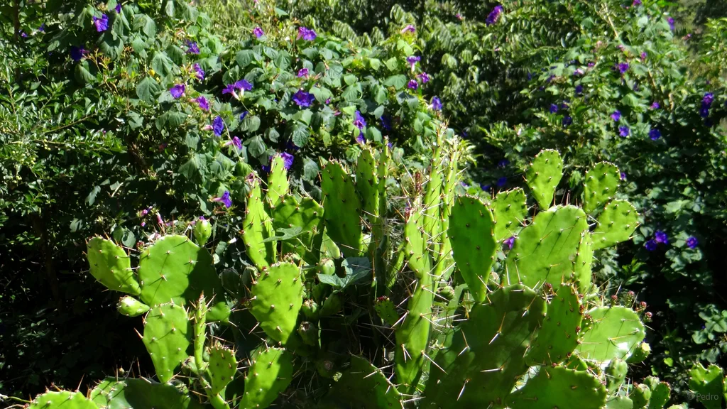 Die Versuchung Gottes