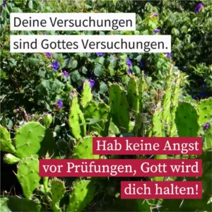 Deine Versuchungen sind Gottes Versuchungen