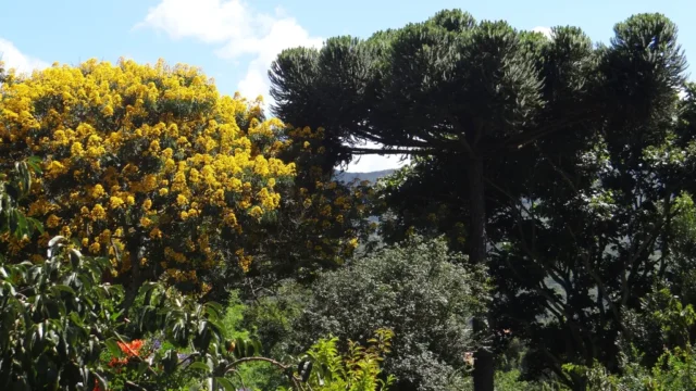 Das geistliche Wachstum