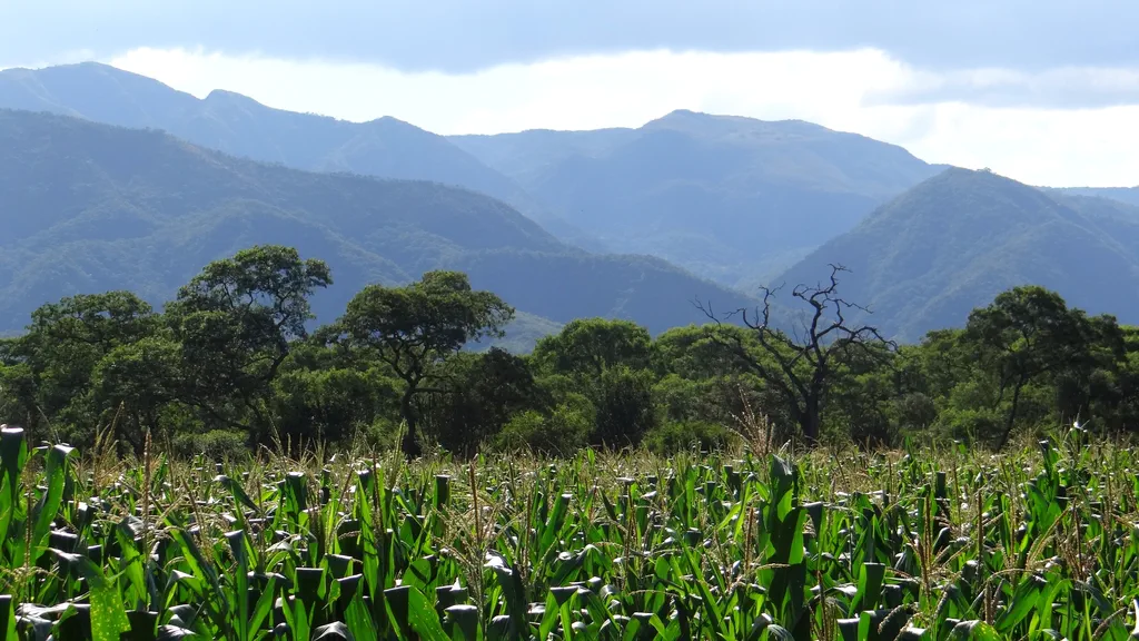 Prophetische Predigt