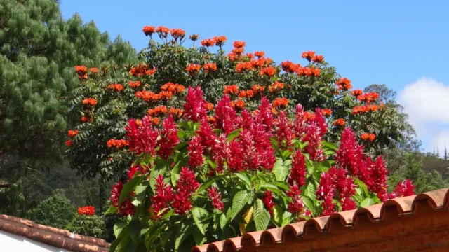 Was erwartet die Überwinder