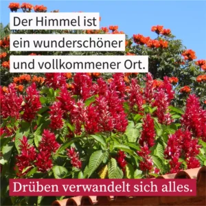 Der Himmel ist ein wunderschöner und vollkommener Ort