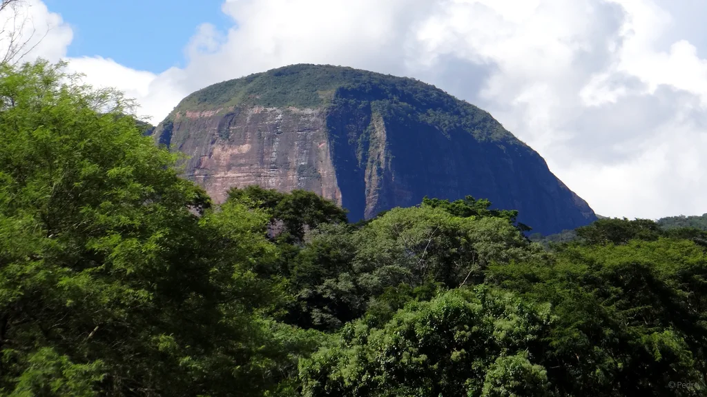 Die Auferstehung der Toten