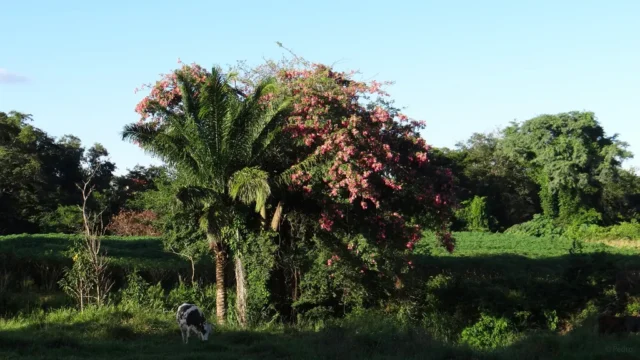 Eine einfache Antwort