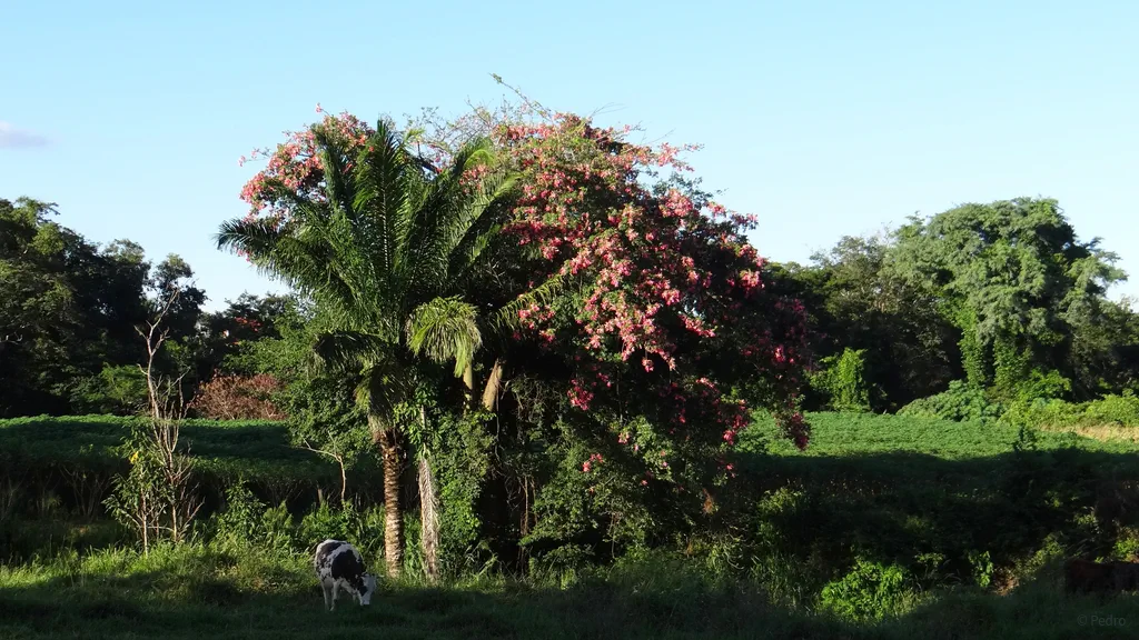 Eine einfache Antwort