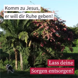 Komm zu Jesus, er will dir Ruhe geben