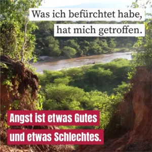 Was ich befürchtet habe, hat mich getroffen