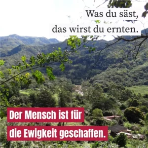 Was du säst, das wirst du ernten