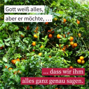 Gott weiß alles, aber er möchte, dass wir ihm alles ganz genau sagen