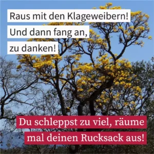 Raus mit den Klageweibern
