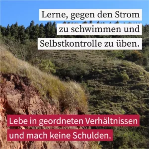 Lerne, gegen den Strom zu schwimmen