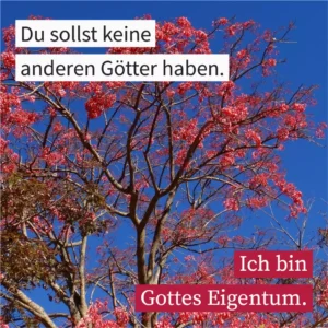 Du sollst keine anderen Götter haben